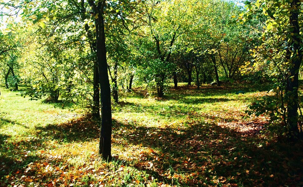 Под сентябрьским солнышком