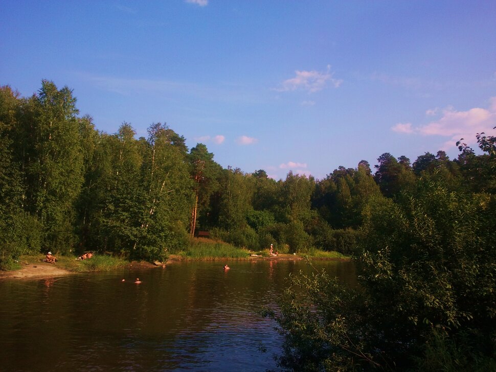 Лес, вода и лето