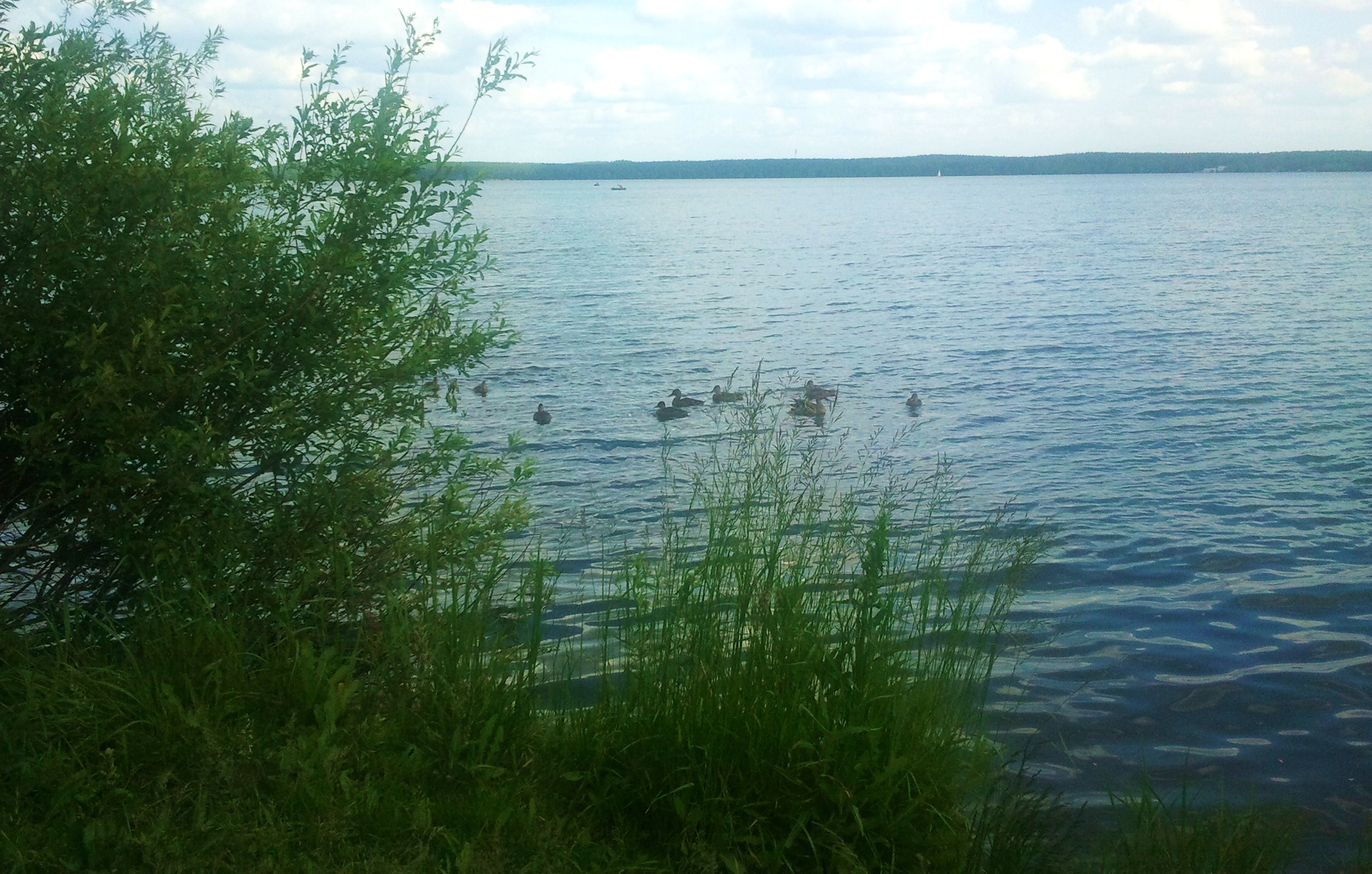 Можно ли в летний пасмурный день загореть