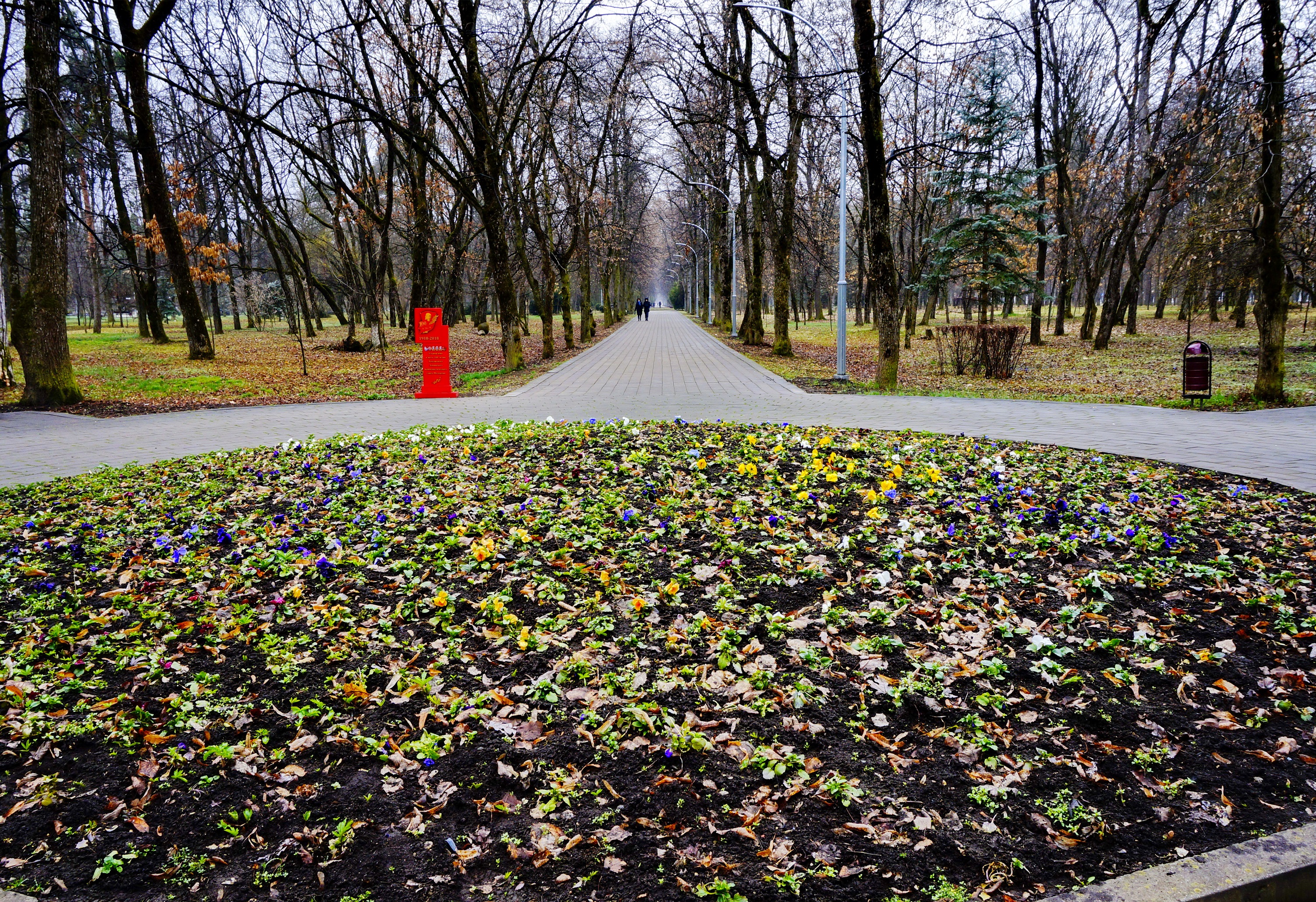 Пейзаж в парке фото