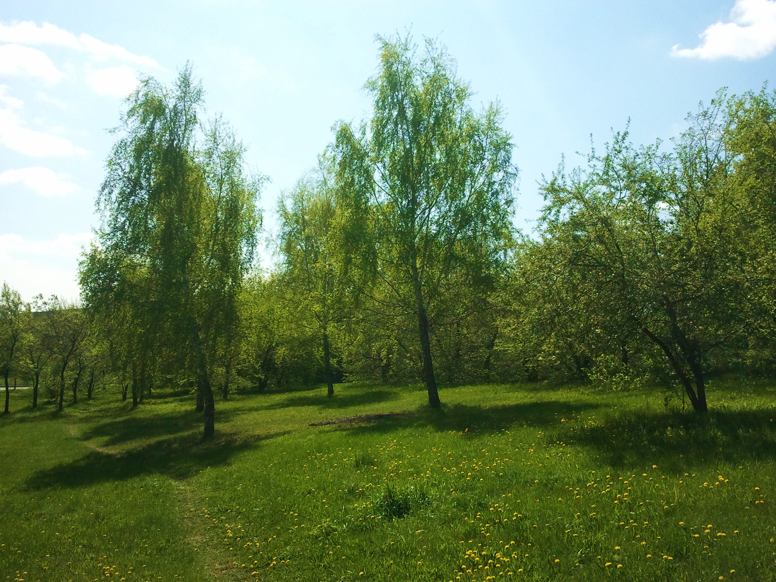 Майский день фото природы