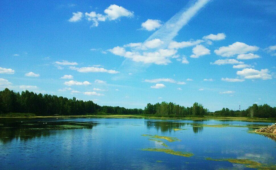 По реке в июне