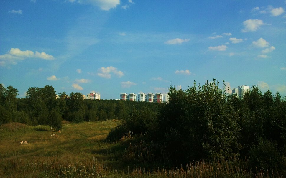 За городом