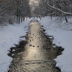 Фото жена на речке фото