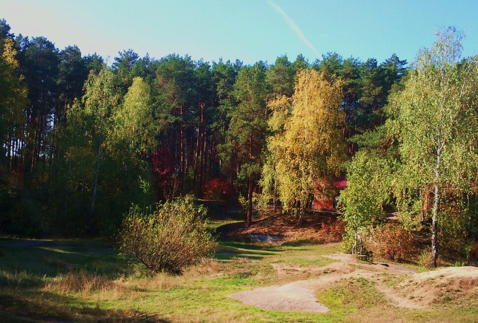 В осеннем лесу