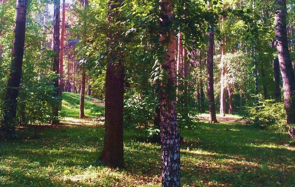 По лесочку в сентябре