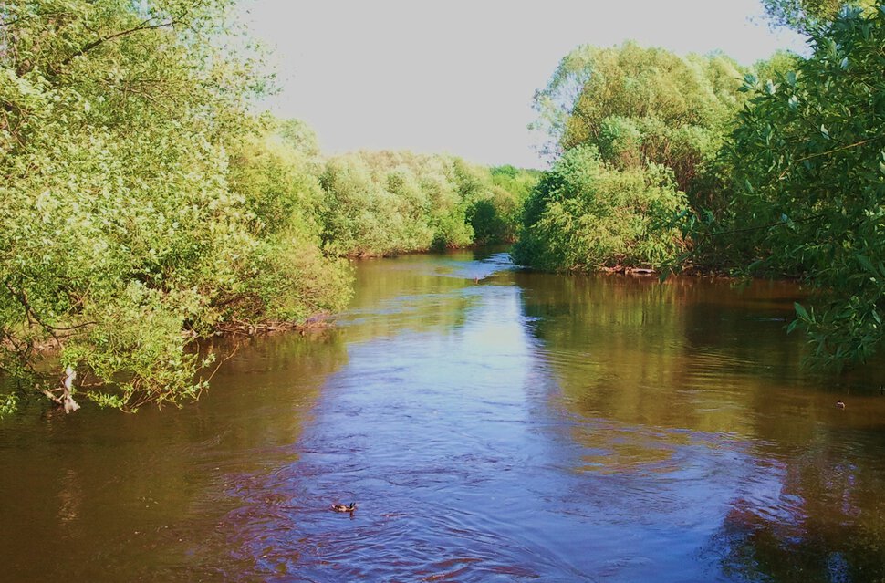 Водоворотики