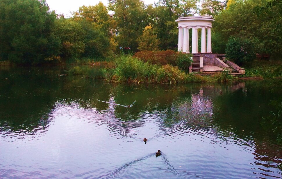 В парке в сентябре