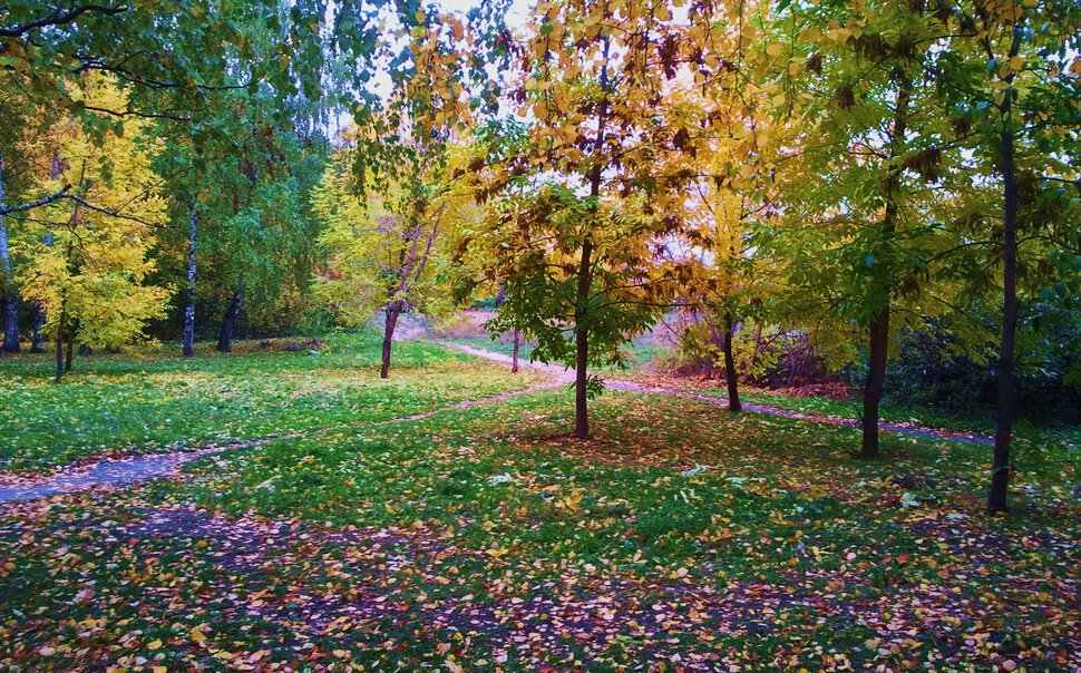 Осенними тропочками