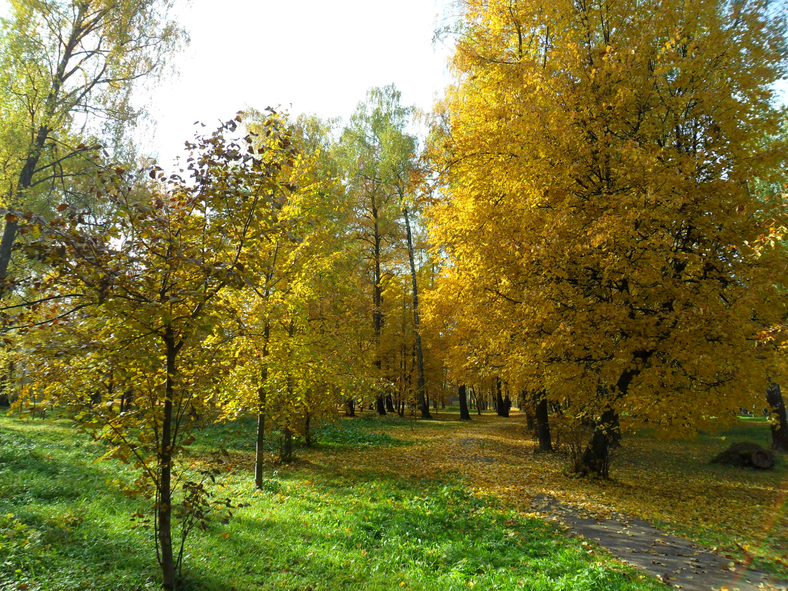 Парк барыши