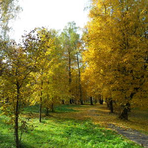 Щербинка барыши фото