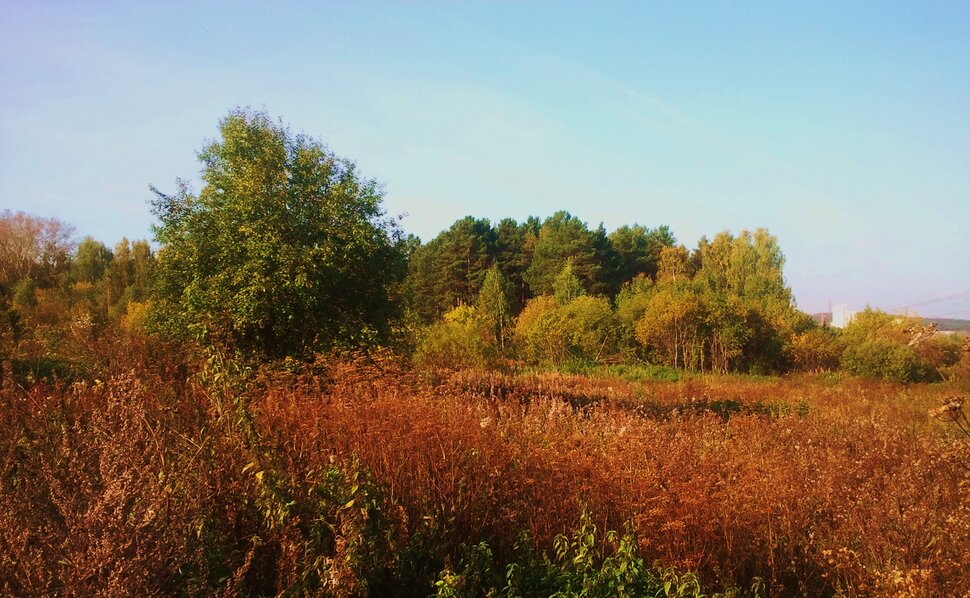 По осенним просторам