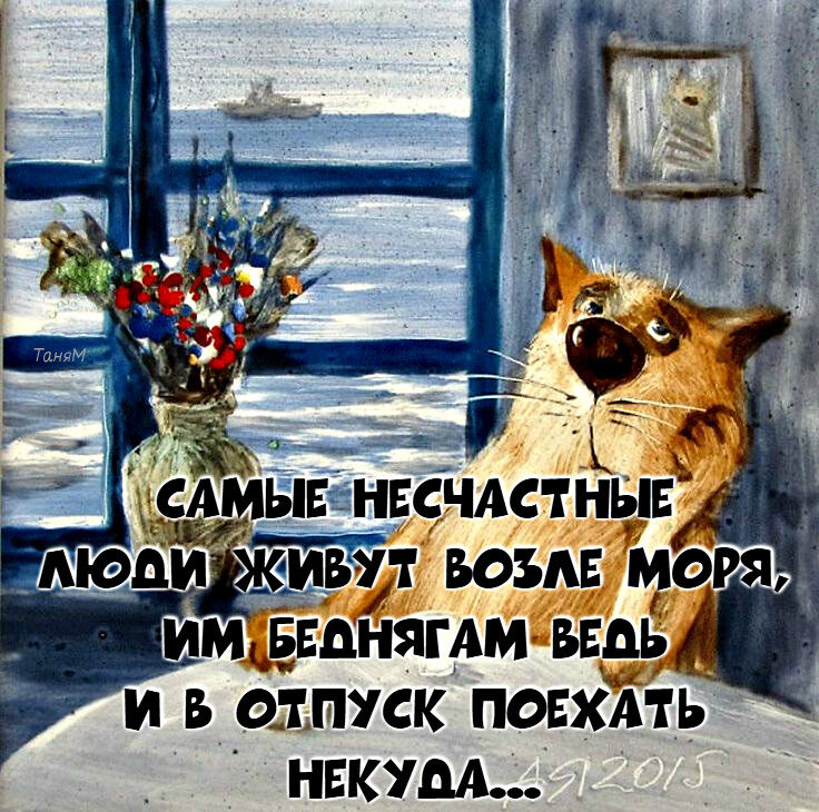 Лето и думы