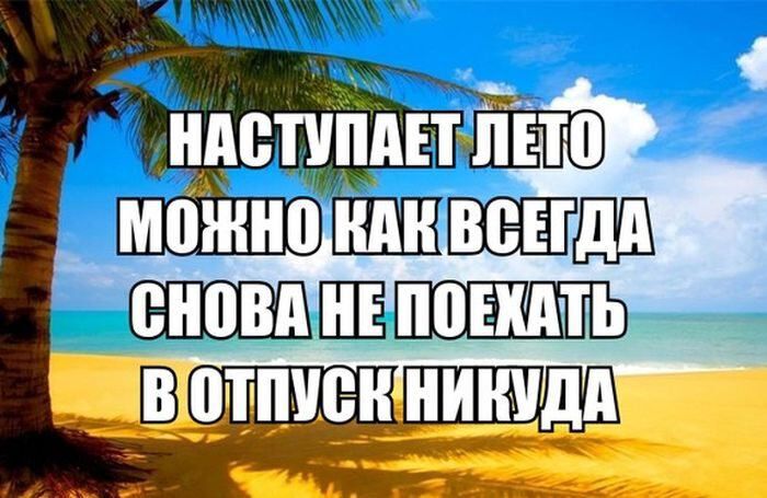 Лето и думы