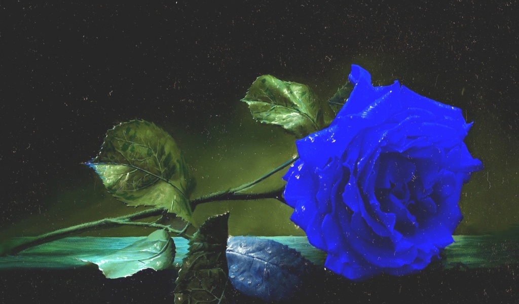 Фото синяя роза на черном фоне