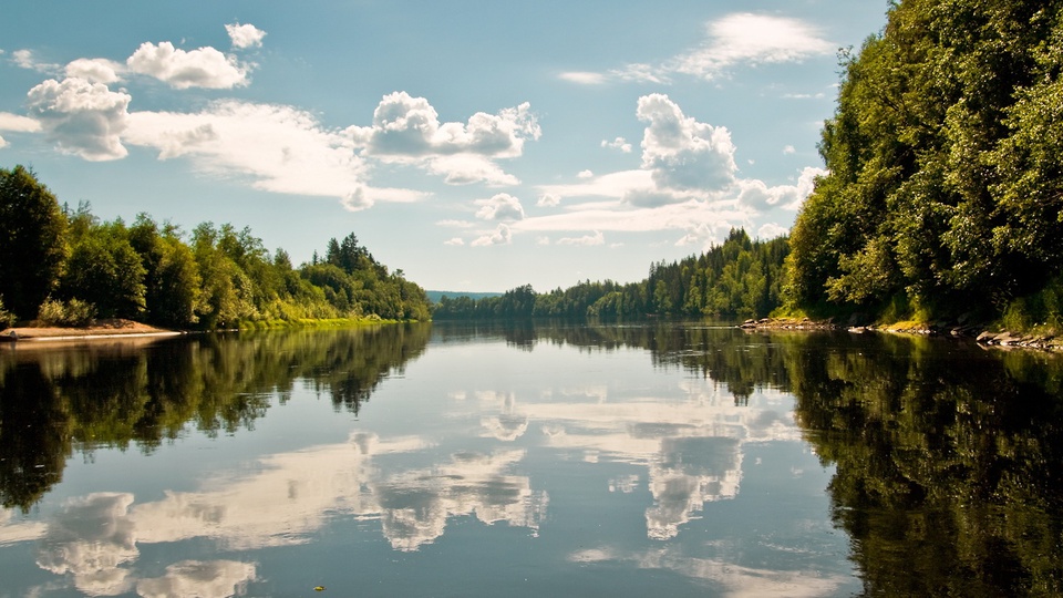 Лучшие фото природы 2010