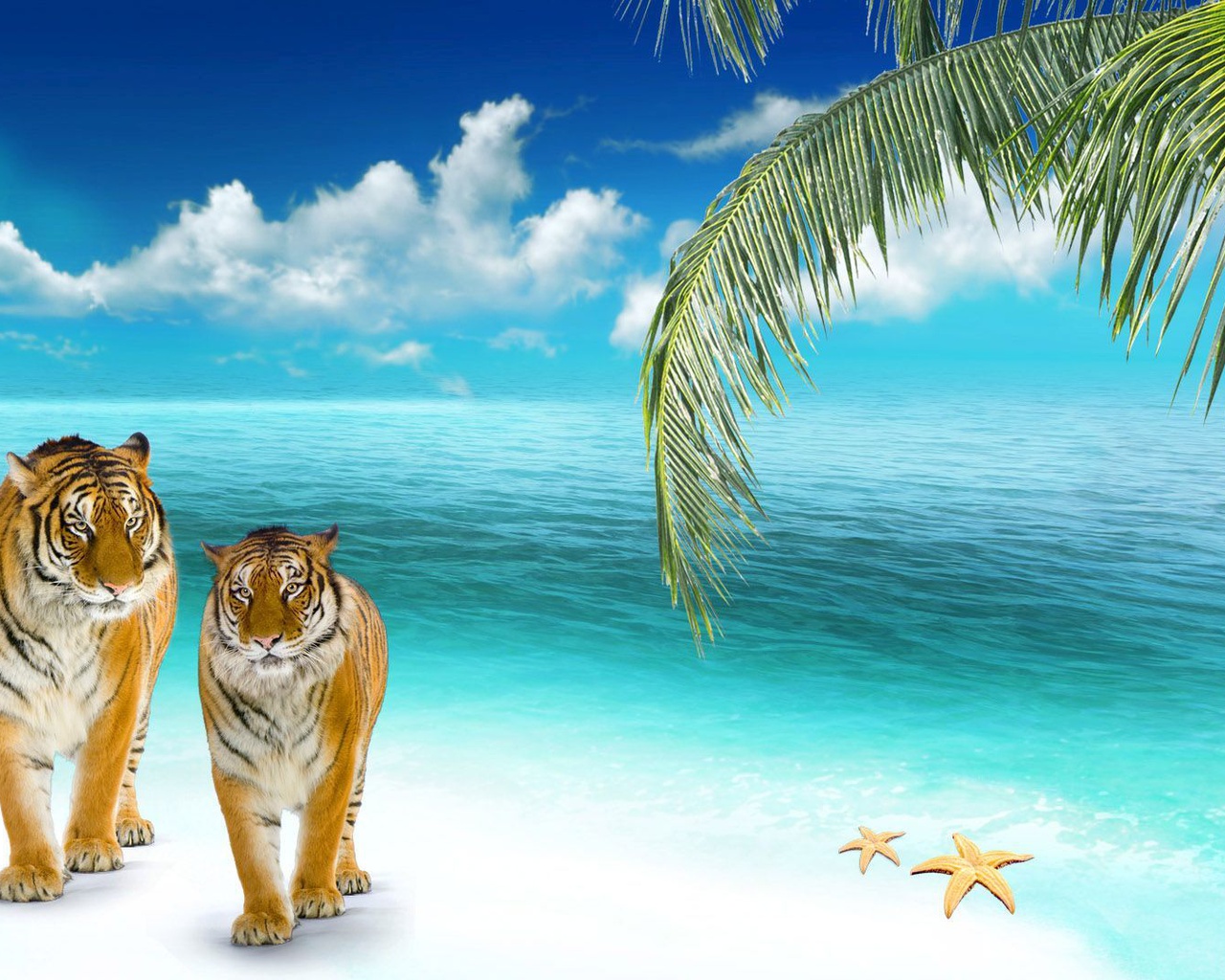 Тигр на море